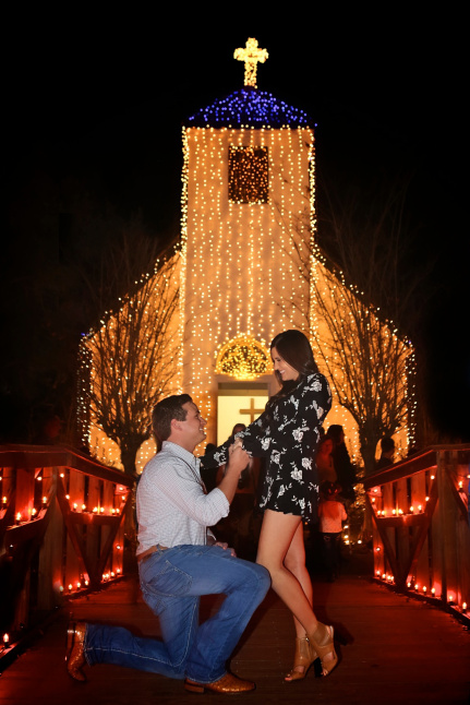Read more about the article Wedding Proposal Season